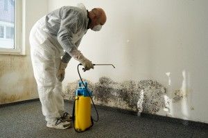 Mold Removal in New Hanover County, NC