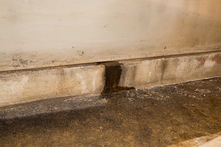Basement mold removal in New Hanover County, NC