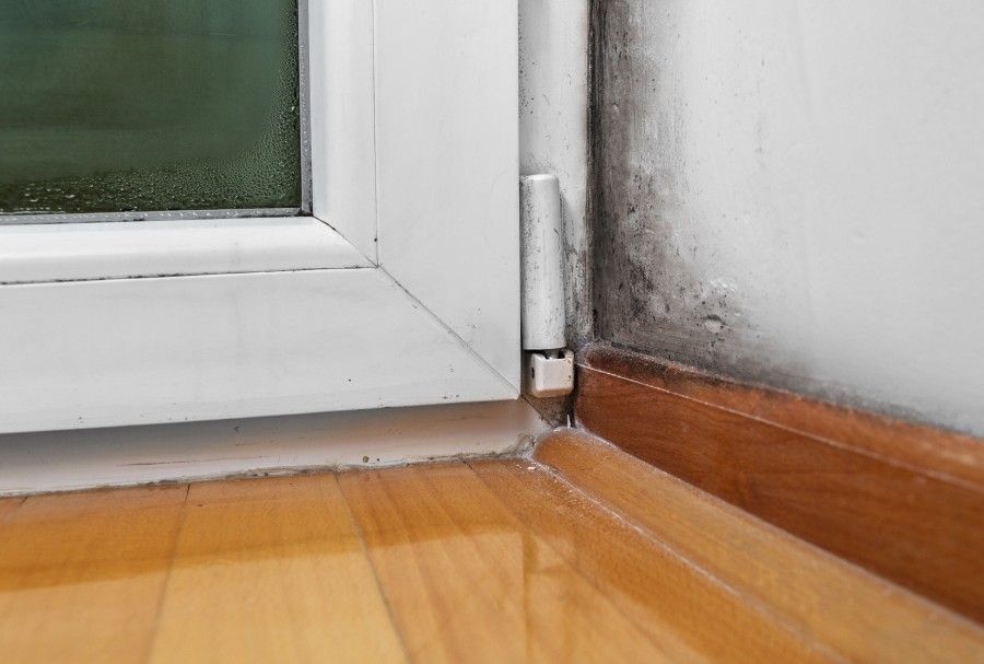 Common Hiding Spots for Dry Rot & Decay by Advanced Air Solutions
