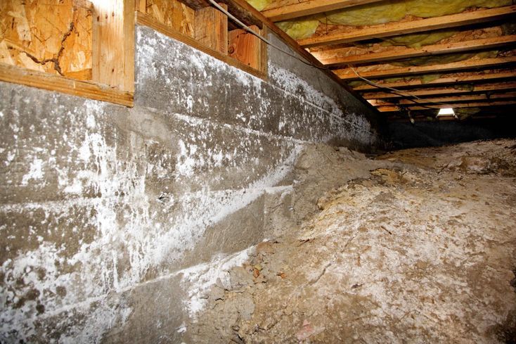 Crawlspace mold removal in New Hanover County, NC